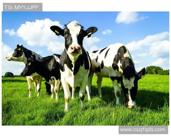 现代牧业足球的崛起与发展探索:从草根到职业的华丽转身 现代牧业足球的崛起与发展探索:从草根到职业的华丽转身