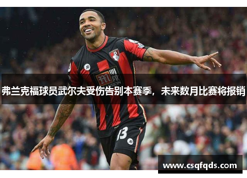 弗兰克福球员武尔夫受伤告别本赛季，未来数月比赛将报销