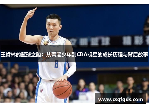 王哲林的篮球之路：从青涩少年到CBA明星的成长历程与背后故事